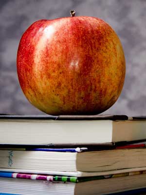 攻击网站的方法